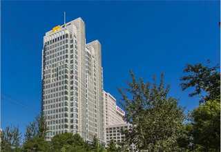 虹口区红掌多少钱