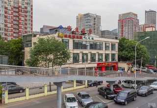 新疆定制不锈钢猫笼展示笼