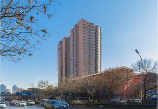 天津碳纤维现货