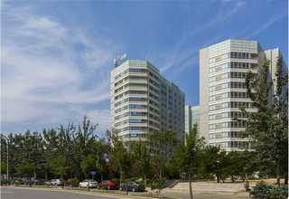 宝山区呼吸疾病动物模型建模